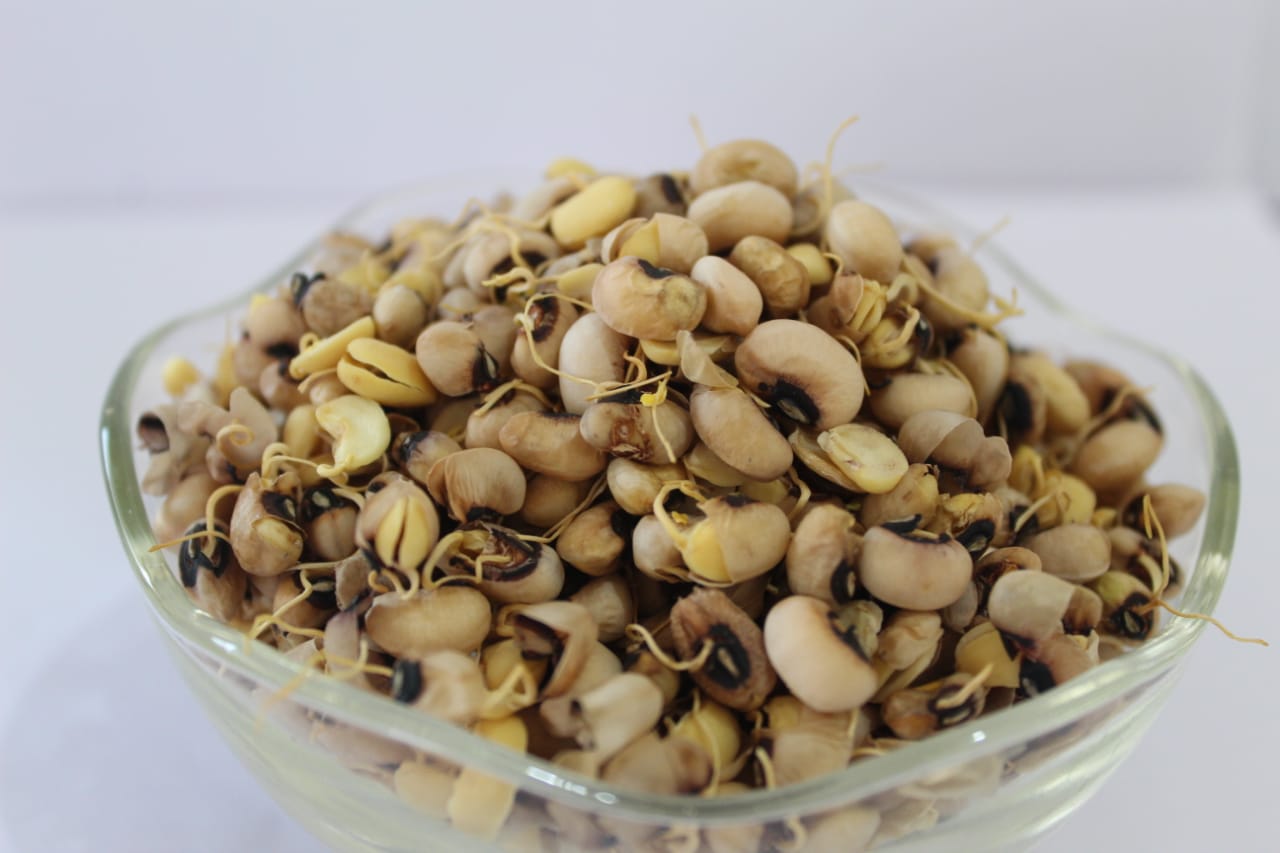 Industrial Robot Arm